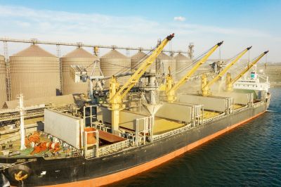 Loading grain into holds of sea cargo vessel.