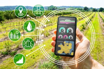 A cellphone is being used in the agricultural field to capture all the necessary data for better crop production.