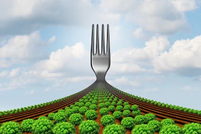 A fork in the farmland, used as a metaphor of 'farm to fork' concept.