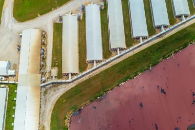 Aerial overhead image of a concentrated animal feeding operation.